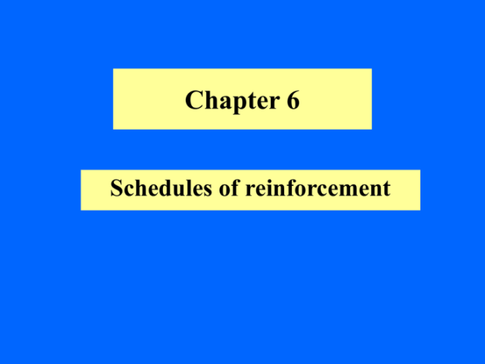 Cengage reinforcement activity 2 part a