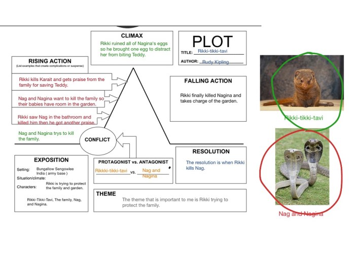 Tavi rikki tikki plot diagram intro childress tpt kristina