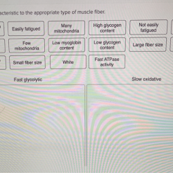 Appropriate characteristic assign each adjust problems award point muscle type pdf