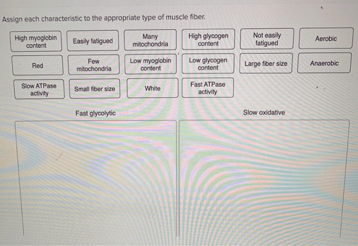 Appropriate characteristic assign each adjust problems award point muscle type pdf